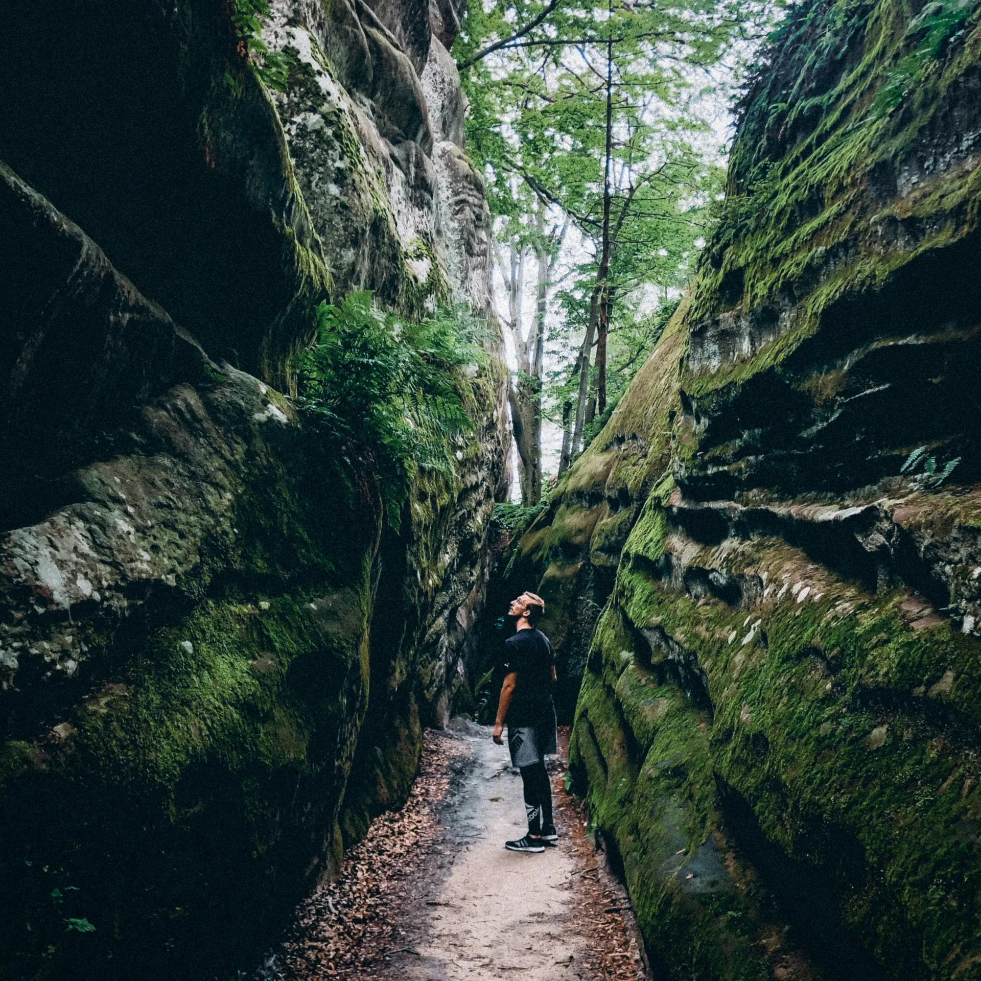 Hikers on a humid ridge trail in Malaysia with layered green hills